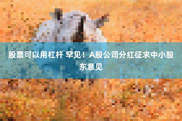 股票可以用杠杆 罕见！A股公司分红征求中小股东意见