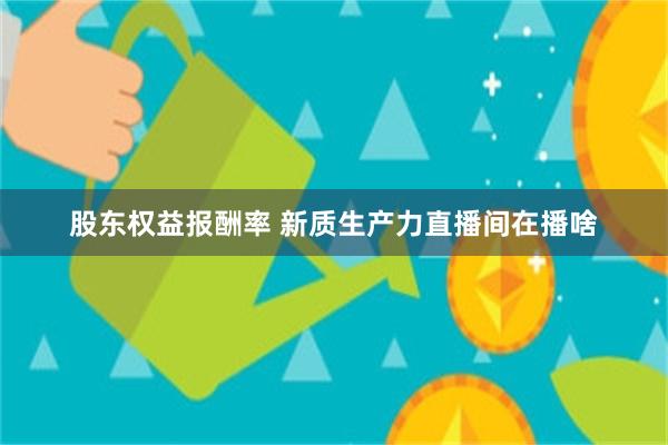 股东权益报酬率 新质生产力直播间在播啥