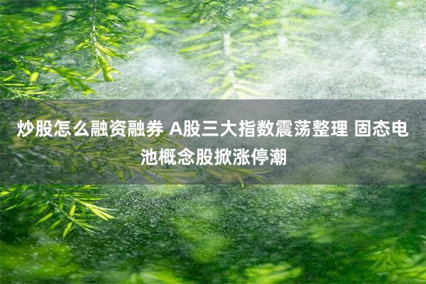 炒股怎么融资融券 A股三大指数震荡整理 固态电池概念股掀涨停潮