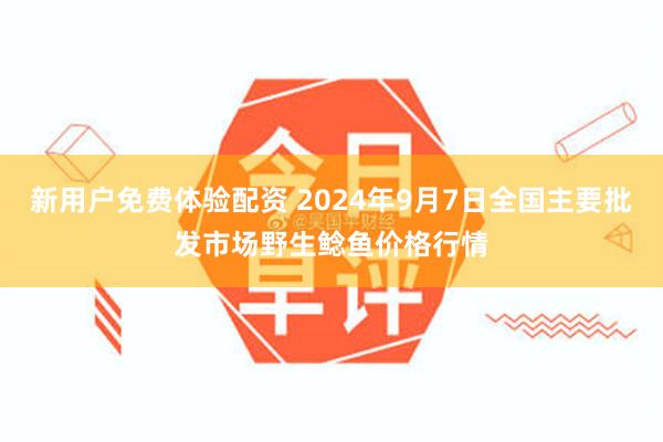 新用户免费体验配资 2024年9月7日全国主要批发市场野生鲶鱼价格行情