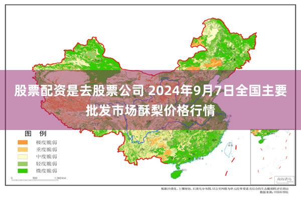 股票配资是去股票公司 2024年9月7日全国主要批发市场酥梨价格行情