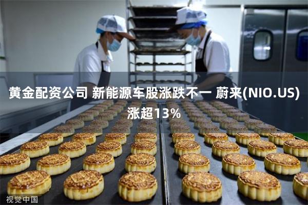 黄金配资公司 新能源车股涨跌不一 蔚来(NIO.US)涨超13%