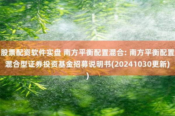 股票配资软件实盘 南方平衡配置混合: 南方平衡配置混合型证券投资基金招募说明书(20241030更新)