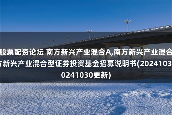 股票配资论坛 南方新兴产业混合A,南方新兴产业混合C: 南方新兴产业混合型证券投资基金招募说明书(20241030更新)