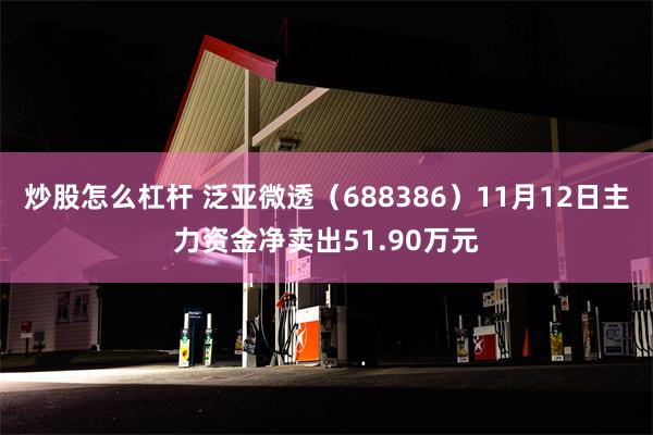 炒股怎么杠杆 泛亚微透（688386）11月12日主力资金净卖出51.90万元