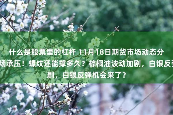 什么是股票里的杠杆 11月18日期货市场动态分析：商品市场承压！螺纹还能撑多久？棕榈油波动加剧，白银反弹机会来了？