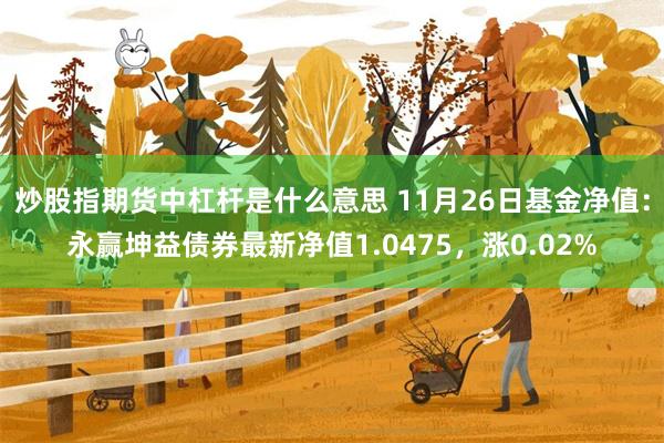 炒股指期货中杠杆是什么意思 11月26日基金净值：永赢坤益债券最新净值1.0475，涨0.02%