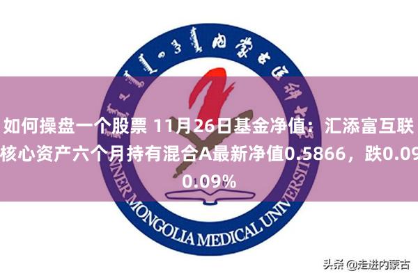 如何操盘一个股票 11月26日基金净值：汇添富互联网核心资产六个月持有混合A最新净值0.5866，跌0.09%