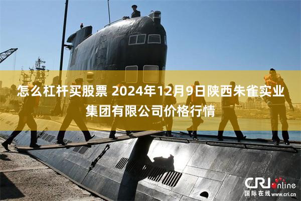 怎么杠杆买股票 2024年12月9日陕西朱雀实业集团有限公司价格行情